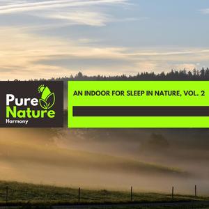 An Indoor For Sleep in Nature, Vol. 2