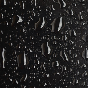 Rain in the Garden