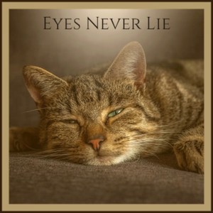 Eyes Never Lie