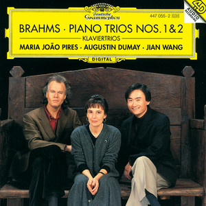 Piano Trio No. 1 in B Major, Op. 8 - Allegro con brio (289 bars) (B大调第1号钢琴三重奏，作品8 - 第一乐章 有活力的快板)