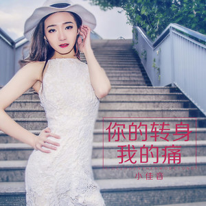 你的转身我的痛