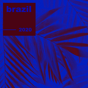 Brazil 2020 (Explicit)