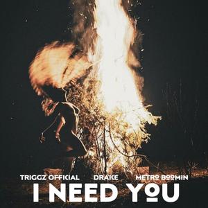 I need you (feat. Champagne Papi) (Explicit)