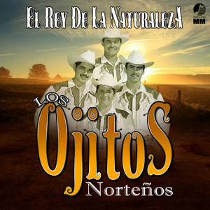 Caminos De Michoacan