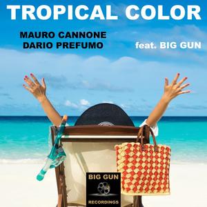 Tropical Color (feat. Big Gun) - Single