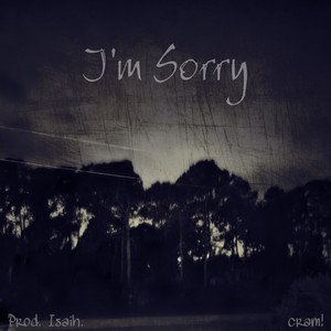 I'm Sorry (Explicit)