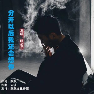 分开以后我还会想你 (伴奏)