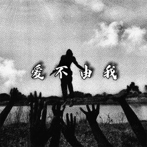 爱不由我封面