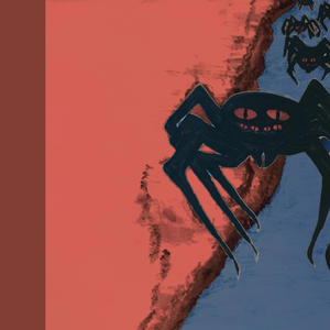 Spiders Along The Coastside