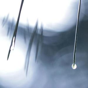 失望攒够了，再爱也没用