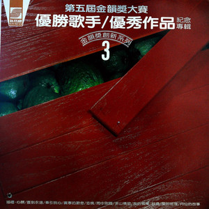 直到永远 (黑胶版)