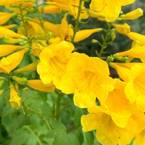 Bar for Bar (Explicit)