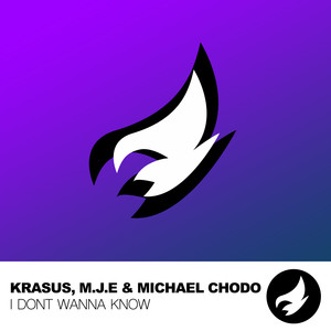 I Dont Wanna Know (Extended Mix)