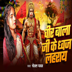 Vir Balaji Ke Dhwaj Laharay