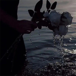 雨爱 (韩语合唱版)