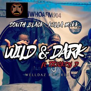 WILD & DARK (Explicit)