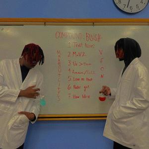 MnV2 (Explicit)