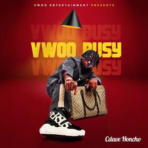 VWOO BUSY (1)