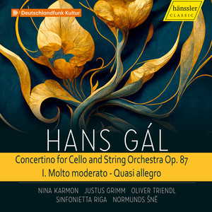 Concertino for Cello and String Orchestra, Op. 87 - Molto moderato - Quasi allegro