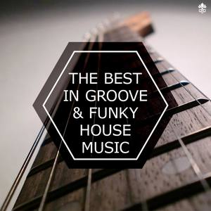 The Best In Groove & Funky House Music