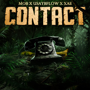 Contact (Explicit)