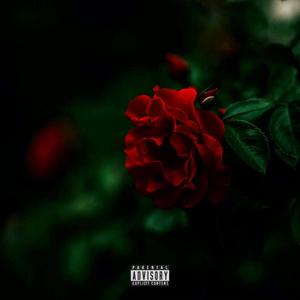 LAST FOREVER (Radio Edit)