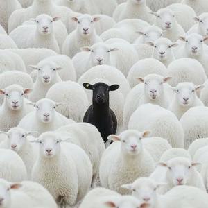 10.011 (feat. Dimaa) (Explicit)