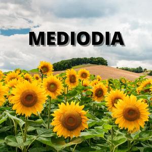 mediodia