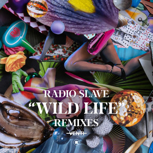 Wild Life (Jamie 3: 26 & Danou P 'DiscoTek' Remix)
