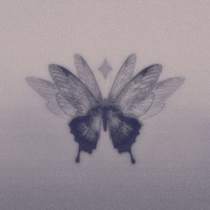 Darkk - never meant to hurt you (宿命氛围版)