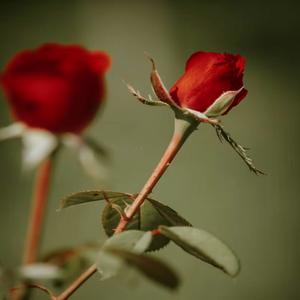 I'm Wit You (feat. Swappacoochi)