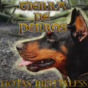 Tierra de perros