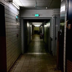 Monkey Island Freestyle (Explicit)