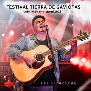 Festival Tierra de Gaviotas Ancud- Felipe Azócar