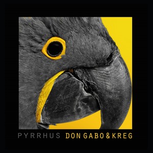 Pyrrhus (Explicit)