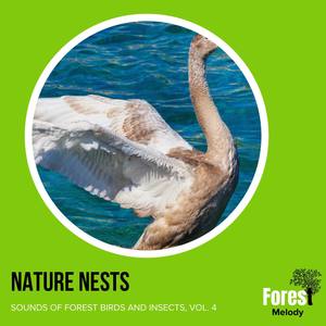 Continuous Waves on Boulder