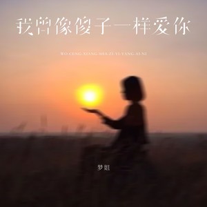 我曾像傻子一样爱你