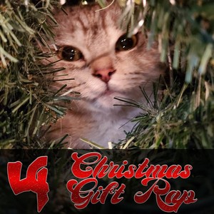 Christmas Gift Rap (Explicit)