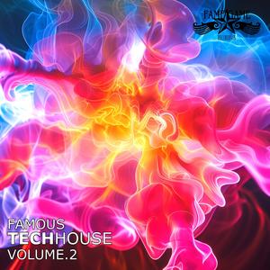 Famous Techhouse, Vol. 2 (Explicit)