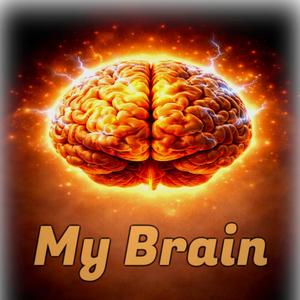 My Brain