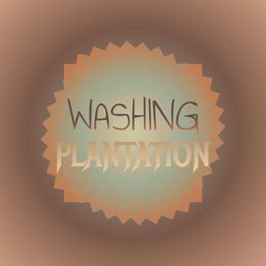 Washing Plantation