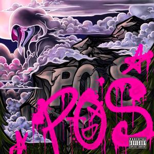 POS (Explicit)