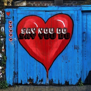 Say You Do (Explicit)