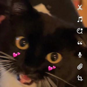 Aufgedreht (Explicit)