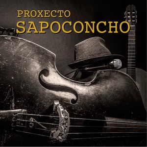 Proxecto Sapoconcho