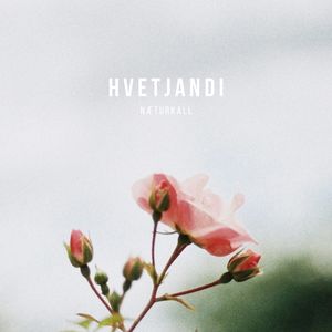 Hvetjandi