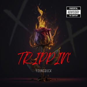 TRIPPIN' (Explicit)
