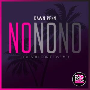 No No No(You Still Don't Love Me)