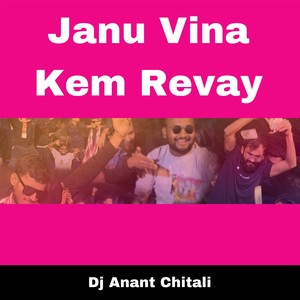 Janu Vina Kem Revay