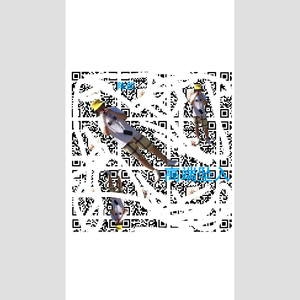 百度不到的爱情